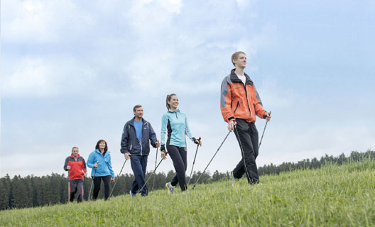 Gruppe beim Nordic Walking